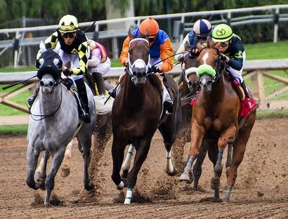 bet on horse racing in India online